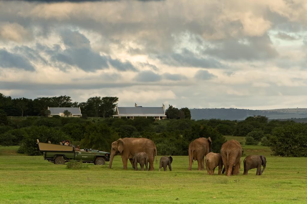 Riverbend Lodge Addo Ngoại thất bức ảnh