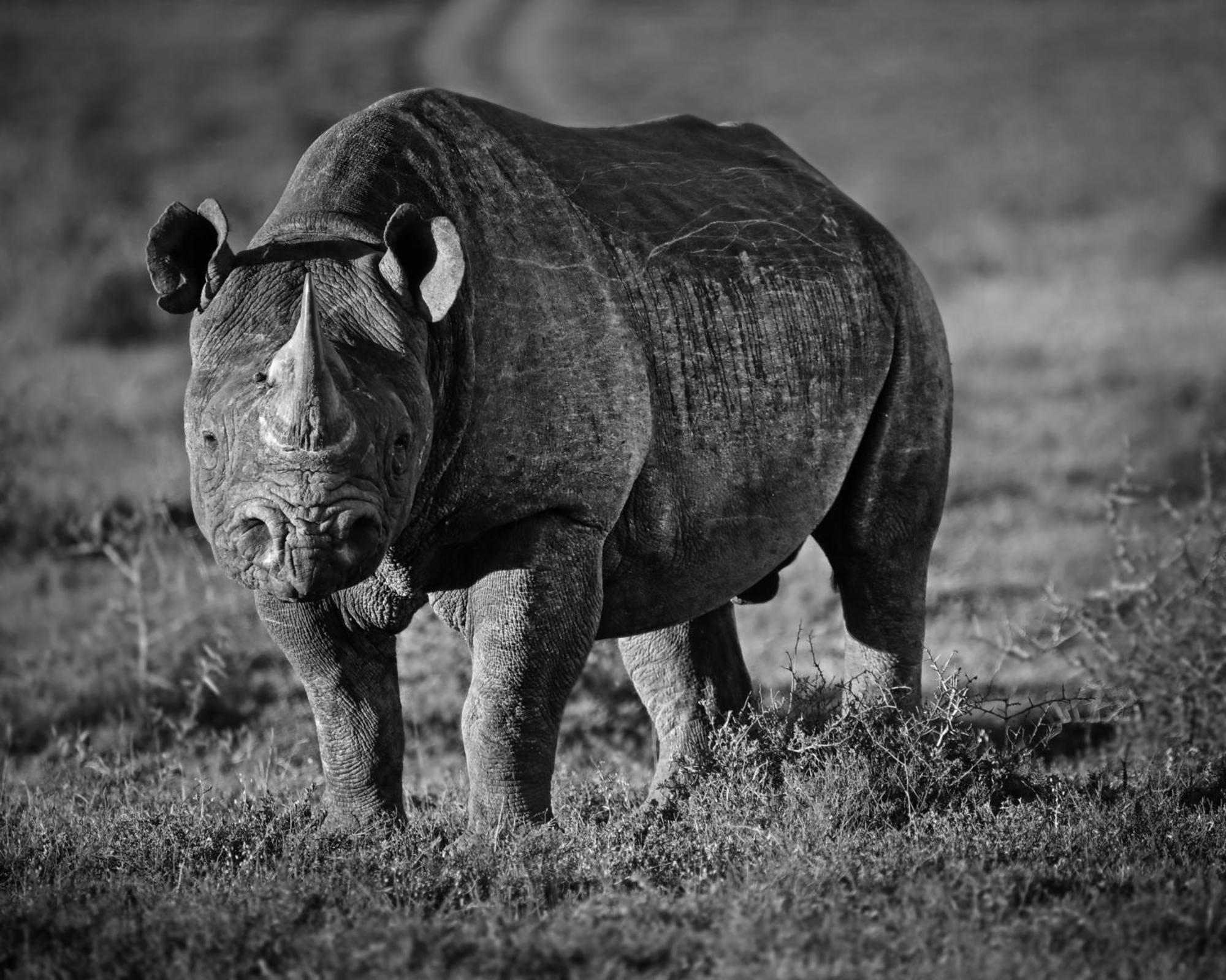 Riverbend Lodge Addo Ngoại thất bức ảnh