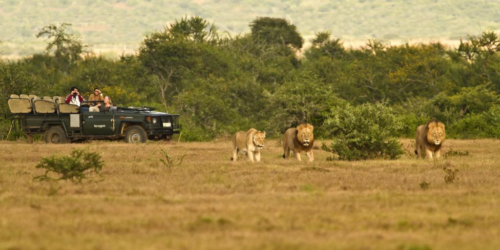 Riverbend Lodge Addo Ngoại thất bức ảnh