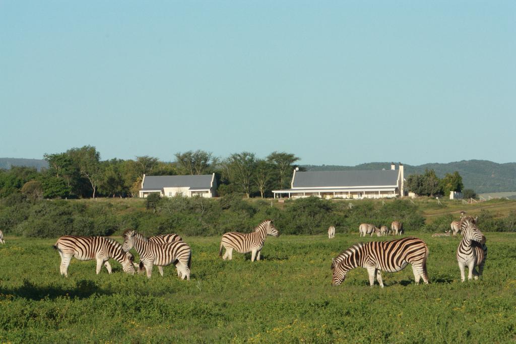 Riverbend Lodge Addo Ngoại thất bức ảnh