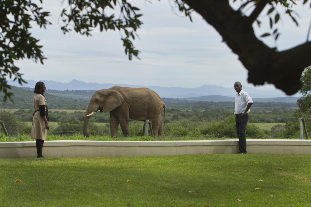 Riverbend Lodge Addo Ngoại thất bức ảnh