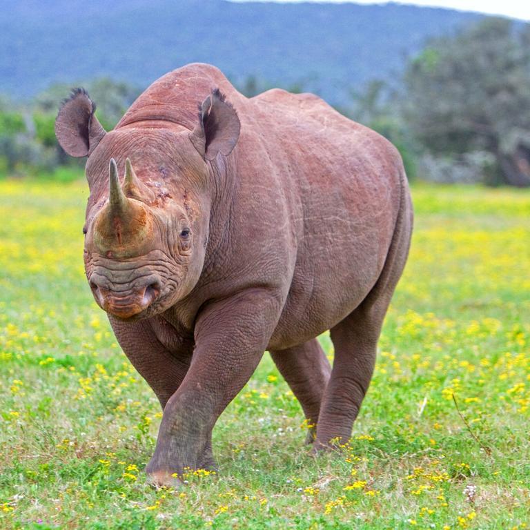 Riverbend Lodge Addo Ngoại thất bức ảnh