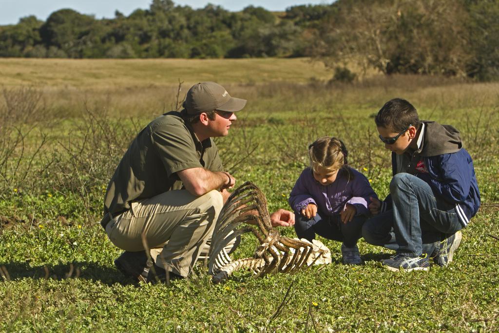 Riverbend Lodge Addo Ngoại thất bức ảnh
