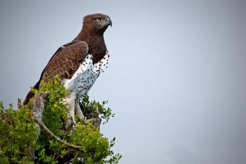 Riverbend Lodge Addo Ngoại thất bức ảnh
