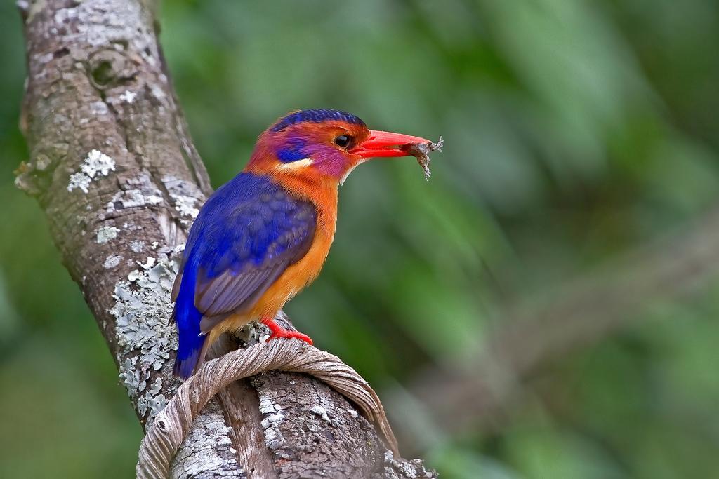 Riverbend Lodge Addo Ngoại thất bức ảnh